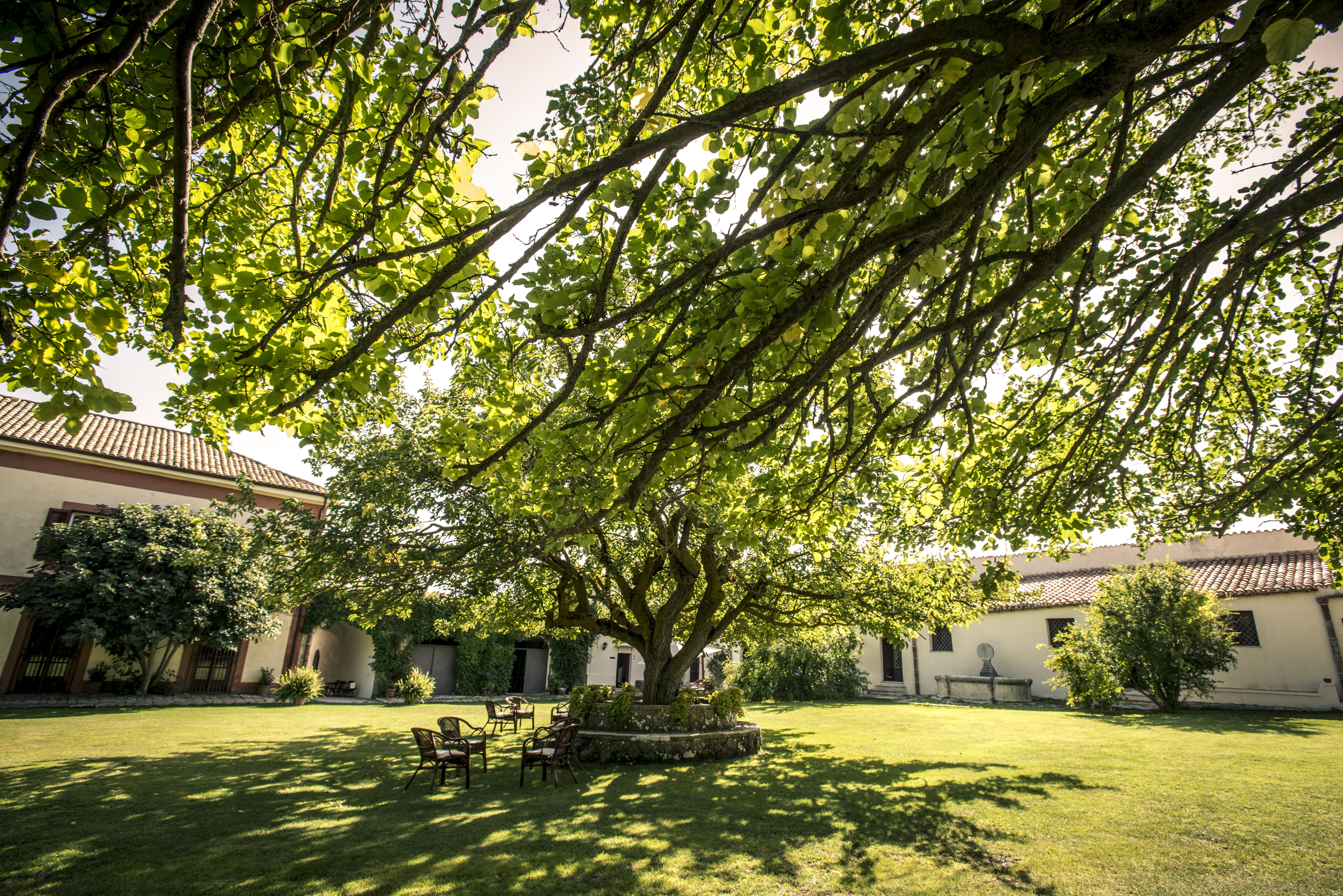 Masseria Rossella Piana Degli Albanesi Buitenkant foto