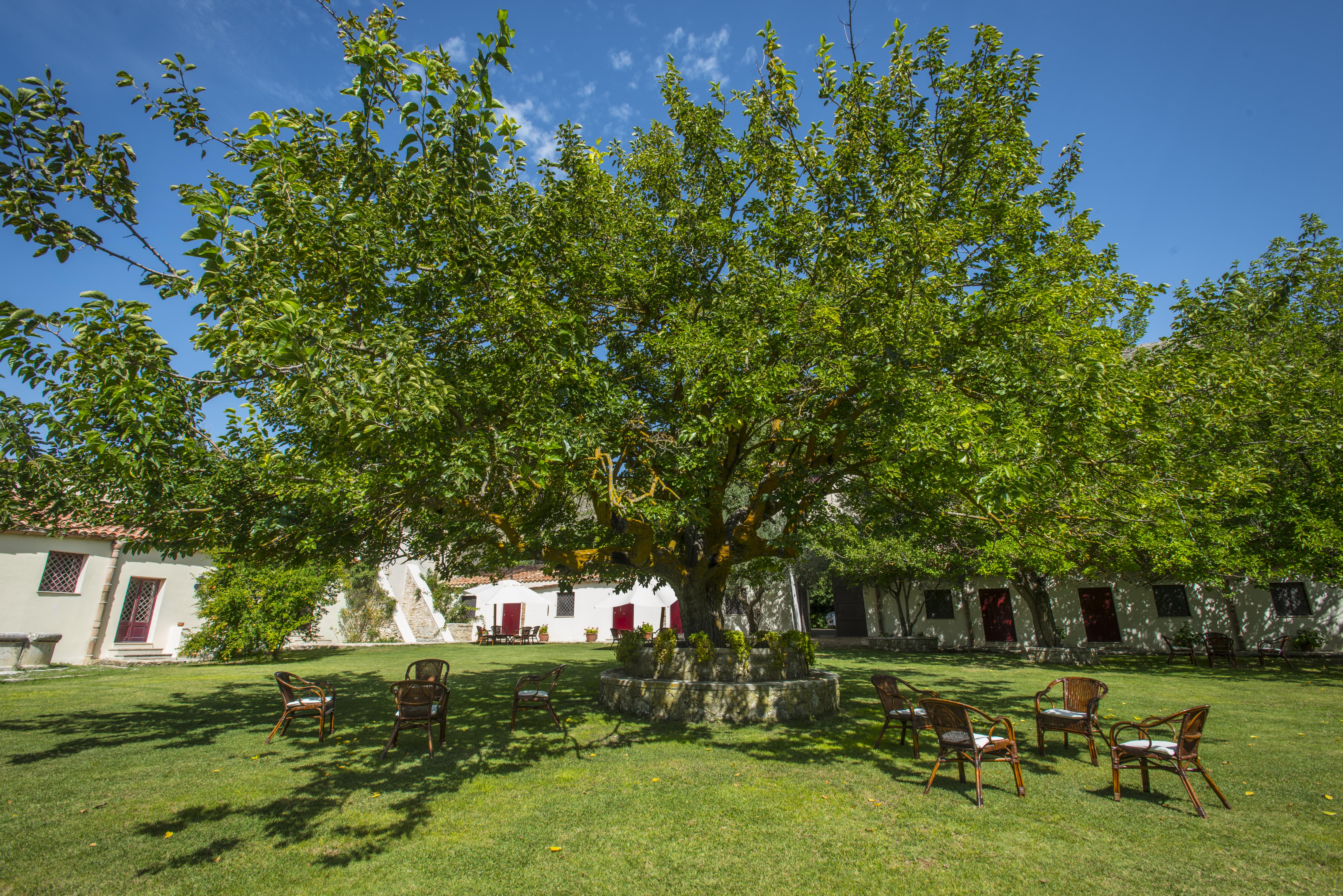 Masseria Rossella Piana Degli Albanesi Buitenkant foto